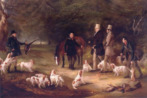 101-5 DUKE OF NEWCASTLE'S SPANIEL